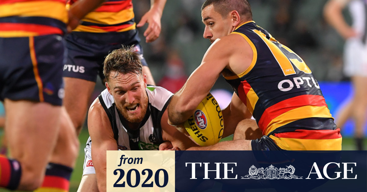 Afl live scores shop 2020